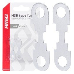 ΑΣΦΑΛΕΙΕΣ FLAT 42mm 100A AMIO - 2 Τεμ.-Amio-03502/AM ΑΣΦΑΛΕΙΕΣ FLAT 42mm 100A AMIO - 2 Τεμ.-Amio-03502/AM