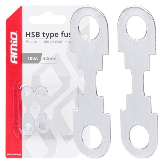 ΑΣΦΑΛΕΙΕΣ FLAT 42mm 100A AMIO - 2 Τεμ.-Amio-03502/AM ΑΣΦΑΛΕΙΕΣ FLAT 42mm 100A AMIO - 2 Τεμ.-Amio-03502/AM