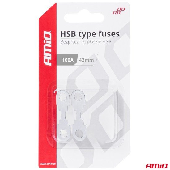 ΑΣΦΑΛΕΙΕΣ FLAT 42mm 100A AMIO - 2 Τεμ.-Amio-03502/AM ΑΣΦΑΛΕΙΕΣ FLAT 42mm 100A AMIO - 2 Τεμ.-Amio-03502/AM