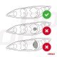 ΛΑΜΠΕΣ H4 PL-LENS SERIES 9>36V 60W 5.000K 3.800lm LED 2x4575 SMD CAN-BUS ΜΕ ΠΡΟΤΖΕΚΤΟΡΑ AMIO - 2 Τεμ.-Amio-03667/AM ΛΑΜΠΕΣ H4 PL-LENS SERIES 9>36V 60W 5.000K 3.800lm LED 2x4575 SMD CAN-BUS ΜΕ ΠΡΟΤΖΕΚΤΟΡΑ AMIO - 2 Τεμ.-Amio-03667/AM