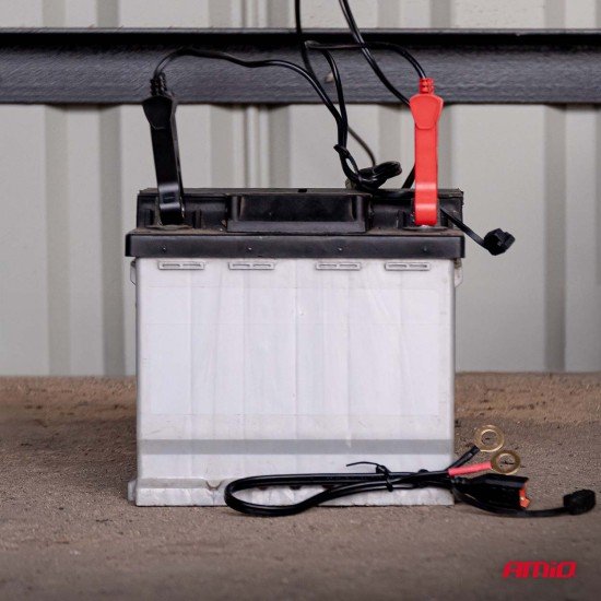 Amio - Φορτιστής Μπαταρίας Ψηφιακός PRO AGM GEL LiFePo4 (LFP) τάση λειτουργίας 6/12V ένταση ρεύματος 4A με γάντζο για Επιβατικά Αυτοκίνητα και Μοτοσυκλέτες - 1 τεμ. (04531/AM)-Amio-04531/AM