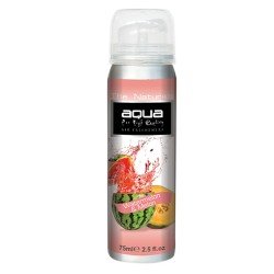 ΑΡΩΜΑΤΙΚΟ ΑΥΤΟΚΙΝΗΤΟΥ ΣΕ ΣΠΡΕΙ (SPRAY) ΜΕ ΑΡΩΜΑ ΚΑΡΠΟΥΖΙ & ΠΕΠΟΝΙ FRUITS SERIES 75ml AQUA - 1 TEM.-Aqua-10-658/AQ ΑΡΩΜΑΤΙΚΟ ΑΥΤΟΚΙΝΗΤΟΥ ΣΕ ΣΠΡΕΙ (SPRAY) ΜΕ ΑΡΩΜΑ ΚΑΡΠΟΥΖΙ & ΠΕΠΟΝΙ FRUITS SERIES 75ml AQUA - 1 TEM.-Aqua-10-658/AQ