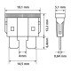ΑΣΦΑΛΕΙΕΣ ΣΕΤ ΣΕ ΚΟΥΤΙ 80ΤΕΜ. PLUG-IN 12/32V (ΜΕ ΕΡΓΑΛΕΙΟ ΑΦΑΙΡΕΣΗΣ)-Lampa-L7004.2 ΑΣΦΑΛΕΙΕΣ ΣΕΤ ΣΕ ΚΟΥΤΙ 80ΤΕΜ. PLUG-IN 12/32V (ΜΕ ΕΡΓΑΛΕΙΟ ΑΦΑΙΡΕΣΗΣ)-Lampa-L7004.2