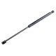 ΑΜΟΡΤΙΣΕΡ ΠΟΡΤ ΜΠΑΓΚΑΖ ΓΙΑ FORD FOCUS 1998-2004 LIFTBACK 455mm/700N orig.3M51A406A10AB-NTY-AE-FR-040/AJ ΑΜΟΡΤΙΣΕΡ ΠΟΡΤ ΜΠΑΓΚΑΖ ΓΙΑ FORD FOCUS 1998-2004 LIFTBACK 455mm/700N orig.3M51A406A10AB-NTY-AE-FR-040/AJ