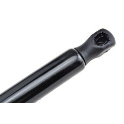 ΑΜΟΡΤΙΣΕΡ ΠΟΡΤ ΜΠΑΓΚΑΖ ΓΙΑ FORD FOCUS 1998-2004 LIFTBACK 455mm/700N orig.3M51A406A10AB-NTY-AE-FR-040/AJ ΑΜΟΡΤΙΣΕΡ ΠΟΡΤ ΜΠΑΓΚΑΖ ΓΙΑ FORD FOCUS 1998-2004 LIFTBACK 455mm/700N orig.3M51A406A10AB-NTY-AE-FR-040/AJ