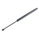 ΑΜΟΡΤΙΣΕΡ ΠΟΡΤ ΜΠΑΓΚΑΖ ΓΙΑ FORD GALAXY / S-MAX 2006-2015 574mm/990N orig.1434313 ΝΤΥ - 1 Τεμ.-NTY-AE-FR-042/AJ ΑΜΟΡΤΙΣΕΡ ΠΟΡΤ ΜΠΑΓΚΑΖ ΓΙΑ FORD GALAXY / S-MAX 2006-2015 574mm/990N orig.1434313 ΝΤΥ - 1 Τεμ.-NTY-AE-FR-042/AJ