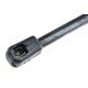 ΑΜΟΡΤΙΣΕΡ ΠΟΡΤ ΜΠΑΓΚΑΖ ΓΙΑ FORD GALAXY / S-MAX 2006-2015 574mm/990N orig.1434313 ΝΤΥ - 1 Τεμ.-NTY-AE-FR-042/AJ ΑΜΟΡΤΙΣΕΡ ΠΟΡΤ ΜΠΑΓΚΑΖ ΓΙΑ FORD GALAXY / S-MAX 2006-2015 574mm/990N orig.1434313 ΝΤΥ - 1 Τεμ.-NTY-AE-FR-042/AJ