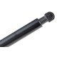 ΑΜΟΡΤΙΣΕΡ ΠΟΡΤ ΜΠΑΓΚΑΖ ΓΙΑ FIAT MULTIPLA 1999-2010 / PEUGEOT 207 SW 2007-2013 COMBI 507mm/520N orig.46514867 ΝΤΥ - 1 Τεμ.-NTY-AE-FT-026/AJ ΑΜΟΡΤΙΣΕΡ ΠΟΡΤ ΜΠΑΓΚΑΖ ΓΙΑ FIAT MULTIPLA 1999-2010 / PEUGEOT 207 SW 2007-2013 COMBI 507mm/520N orig.46514867 ΝΤΥ - 1 Τεμ.-NTY-AE-FT-026/AJ