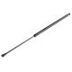 ΑΜΟΡΤΙΣΕΡ ΠΟΡΤ ΜΠΑΓΚΑΖ ΓΙΑ NISSAN X-TRAIL 2007-2013 580mm/560N orig.90450JG40A-NTY-AE-NS-009/AJ ΑΜΟΡΤΙΣΕΡ ΠΟΡΤ ΜΠΑΓΚΑΖ ΓΙΑ NISSAN X-TRAIL 2007-2013 580mm/560N orig.90450JG40A-NTY-AE-NS-009/AJ