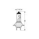 H7 12V 55W PX26d XENON TOP 4.800K +120%  2ΤΕΜ.-Lampa-L5860.2 H7 12V 55W PX26d XENON TOP 4.800K +120%  2ΤΕΜ.-Lampa-L5860.2