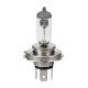 H19 12V 60/55W PU43t-3 1700/1200 lm STANDARD LINE ΑΛΟΓΟΝΟΥ (ΚΟΥΤΙ) - 1 ΤΕΜ.-Lampa-L5803.8 H19 12V 60/55W PU43t-3 1700/1200 lm STANDARD LINE ΑΛΟΓΟΝΟΥ (ΚΟΥΤΙ) - 1 ΤΕΜ.-Lampa-L5803.8