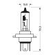 H19 12V 60/55W PU43t-3 1700/1200 lm STANDARD LINE ΑΛΟΓΟΝΟΥ (ΚΟΥΤΙ) - 1 ΤΕΜ.-Lampa-L5803.8 H19 12V 60/55W PU43t-3 1700/1200 lm STANDARD LINE ΑΛΟΓΟΝΟΥ (ΚΟΥΤΙ) - 1 ΤΕΜ.-Lampa-L5803.8