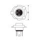 H19 12V 60/55W PU43t-3 1700/1200 lm STANDARD LINE ΑΛΟΓΟΝΟΥ (ΚΟΥΤΙ) - 1 ΤΕΜ.-Lampa-L5803.8 H19 12V 60/55W PU43t-3 1700/1200 lm STANDARD LINE ΑΛΟΓΟΝΟΥ (ΚΟΥΤΙ) - 1 ΤΕΜ.-Lampa-L5803.8