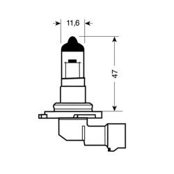 H12 12V/53W ΑΛΟΓΟΝΟΥ-Lampa-L5798.1 H12 12V/53W ΑΛΟΓΟΝΟΥ-Lampa-L5798.1