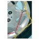 ΑΛΥΣΙΔΕΣ ΧΙΟΝΙΟΥ R9 9mm GR2 LAMPA - 2 ΤΕΜ.-Lampa-L1606.2 ΑΛΥΣΙΔΕΣ ΧΙΟΝΙΟΥ R9 9mm GR2 LAMPA - 2 ΤΕΜ.-Lampa-L1606.2