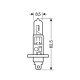 H1 ΑΛΟΓΟΝΟΥ 12V/55W-Lampa-L5801.3 H1 ΑΛΟΓΟΝΟΥ 12V/55W-Lampa-L5801.3