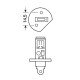 H1 ΑΛΟΓΟΝΟΥ 12V/55W-Lampa-L5801.3 H1 ΑΛΟΓΟΝΟΥ 12V/55W-Lampa-L5801.3