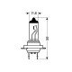 H7 ΑΛΟΓΟΝΟΥ 12V/55W PX26d-Lampa-L5805.7 H7 ΑΛΟΓΟΝΟΥ 12V/55W PX26d-Lampa-L5805.7