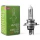 H4 24V 75/70W P43t POWERTEC LONG LIFE ΑΛΟΓΟΝΟΥ 1ΤΕΜ. ΚΟΥΤΙ M-TECH-M-Tech-PTXLL4/MT H4 24V 75/70W P43t POWERTEC LONG LIFE ΑΛΟΓΟΝΟΥ 1ΤΕΜ. ΚΟΥΤΙ M-TECH-M-Tech-PTXLL4/MT